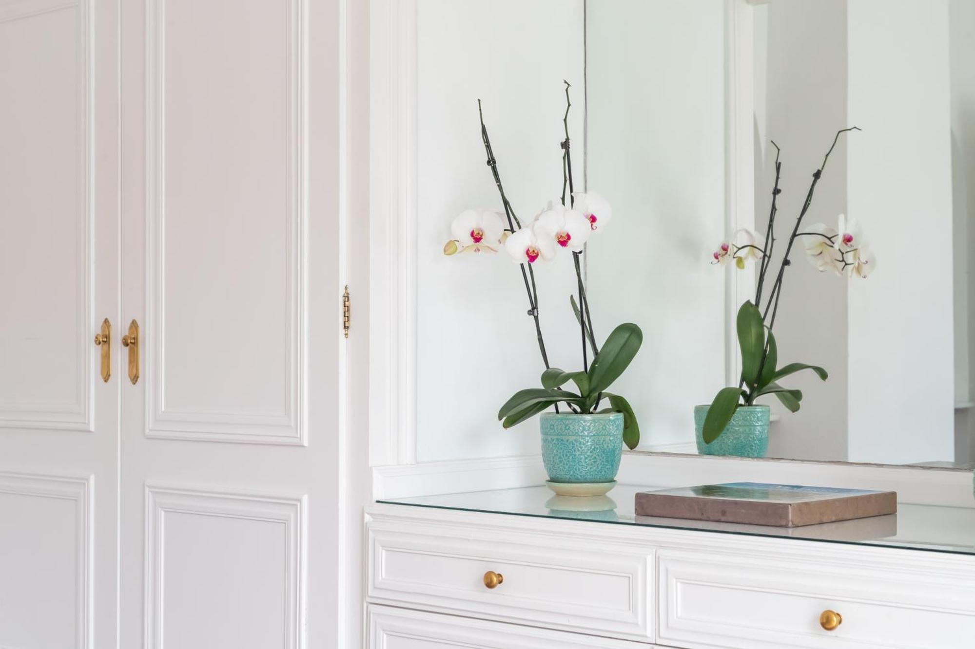 Aurora Boutique House - Only Adults Marbellac